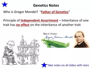 Genetics Notes Who is Gregor Mendel?