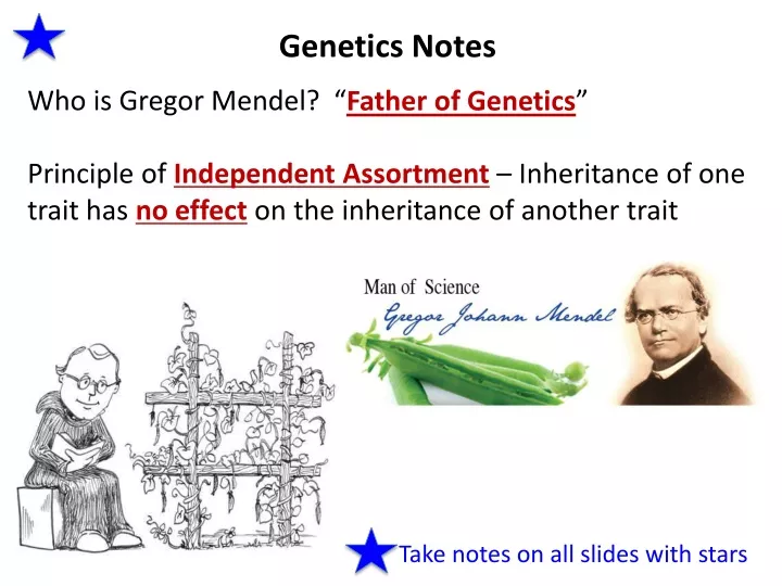 genetics notes who is gregor mendel principle