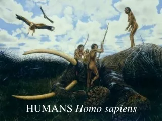 HUMANS  Homo sapiens