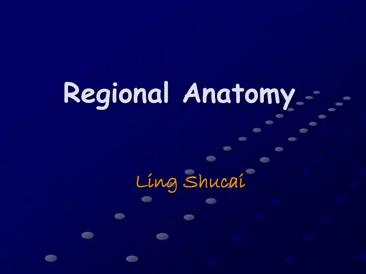 regional anatomy