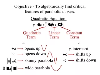 Objective - To algebraically find critical features of parabolic curves.