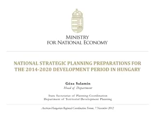 NATIONAL STRATEGIC PLANNING PREPARATIONS FOR  THE 2014-2020 DEVELOPMENT PERIOD IN HUNGARY