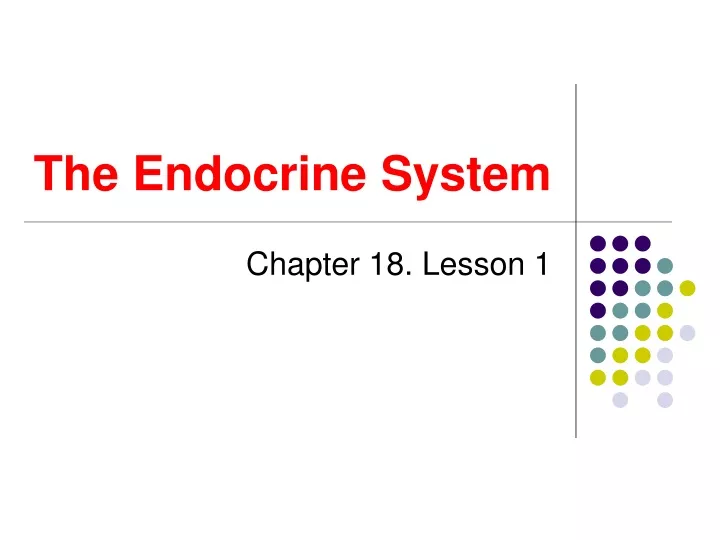 the endocrine system