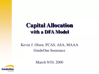 Capital Allocation  with a DFA Model