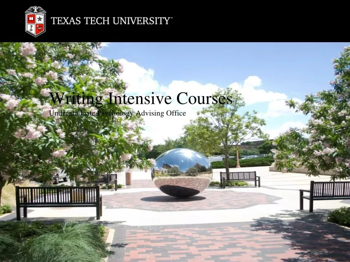 writing intensive courses undergraduate