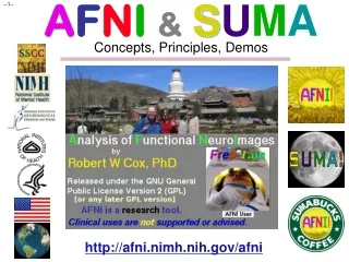 A F N I  &amp; S U M A Concepts, Principles, Demos