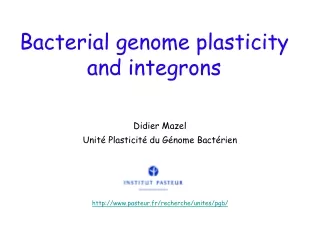Bacterial genome plasticity and integrons