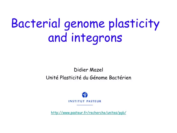 bacterial genome plasticity and integrons