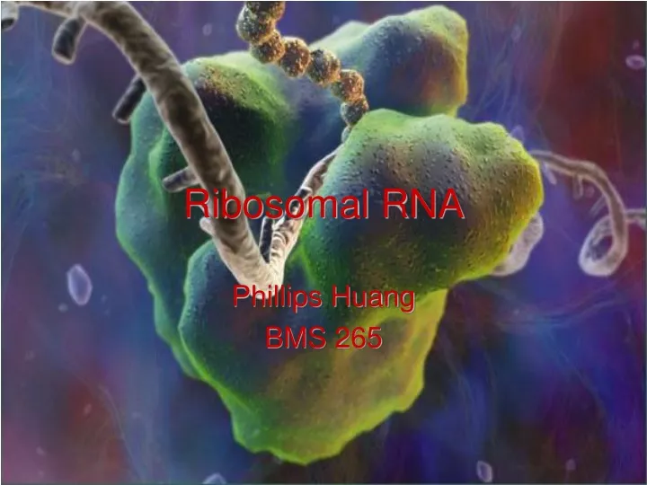 ribosomal rna