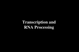 Transcription and  RNA Processing