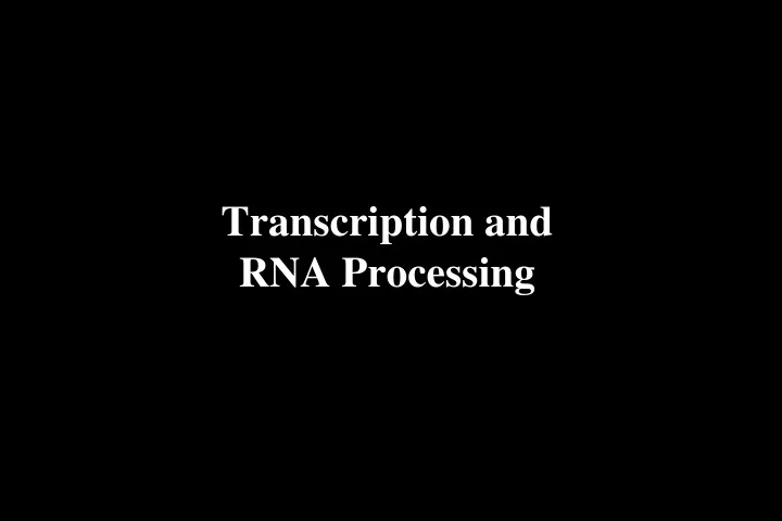 transcription and rna processing