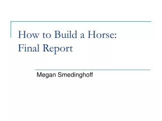 How to Build a Horse: Final Report