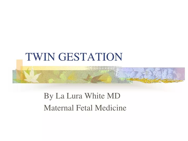 twin gestation