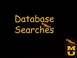 Database Searches