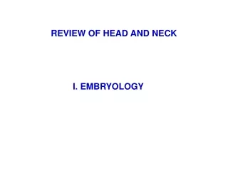 REVIEW OF HEAD AND NECK