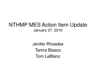 NTHMP MES Action Item Update January 27, 2010