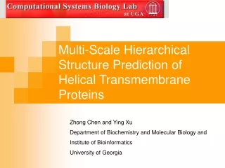 Multi-Scale Hierarchical Structure Prediction of Helical Transmembrane Proteins