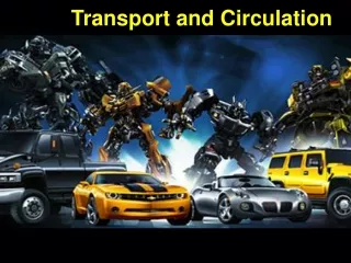 Transport and Circulation