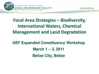 GEF Expanded Constituency Workshop March 1 – 3, 2011 Belize City, Belize