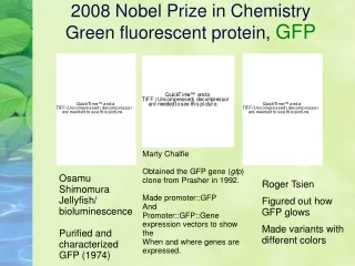 2008 Nobel Prize in Chemistry  Green fluorescent protein,  GFP