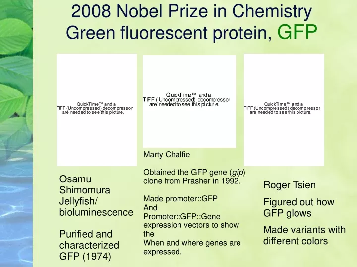 2008 nobel prize in chemistry green fluorescent protein gfp