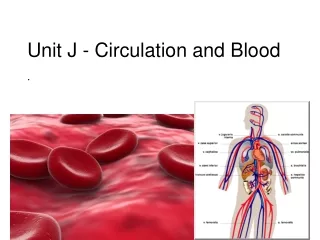 Unit J - Circulation and Blood  .