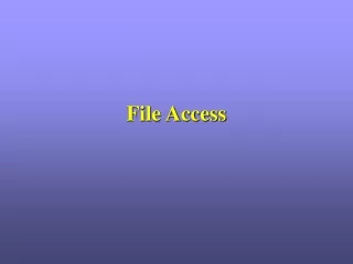 File Access