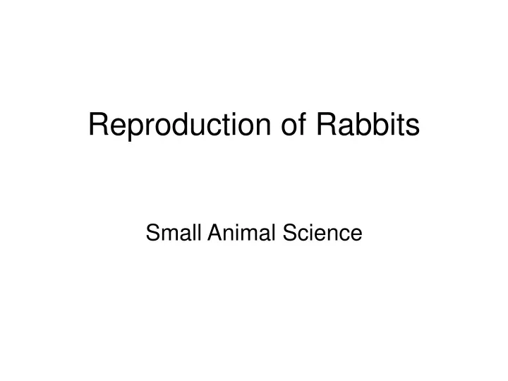 reproduction of rabbits