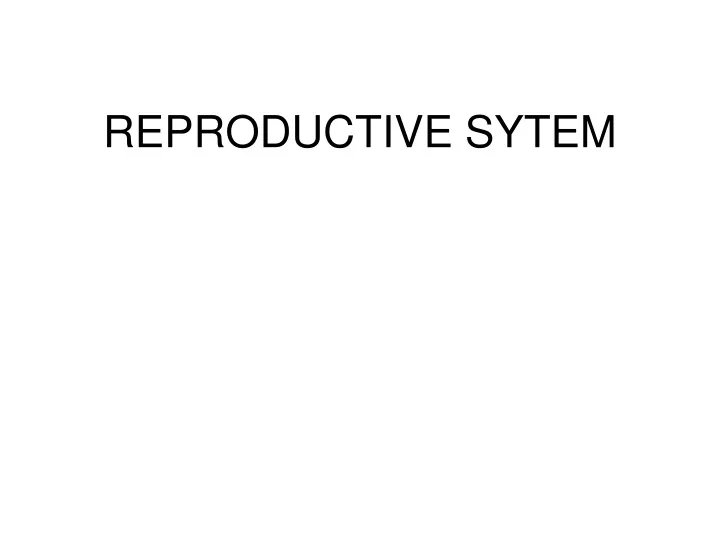reproductive sytem