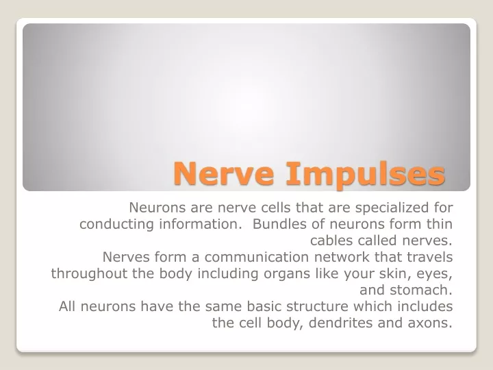 nerve impulses