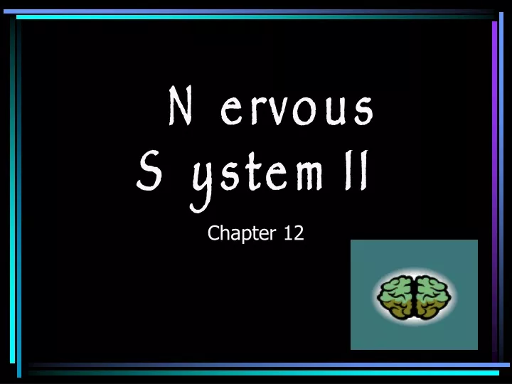 nervous system ii