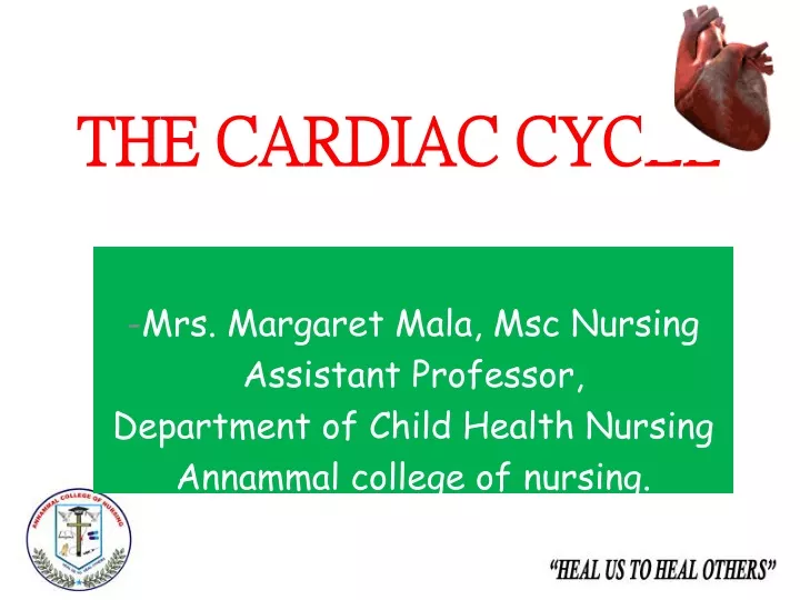 the cardiac cycle