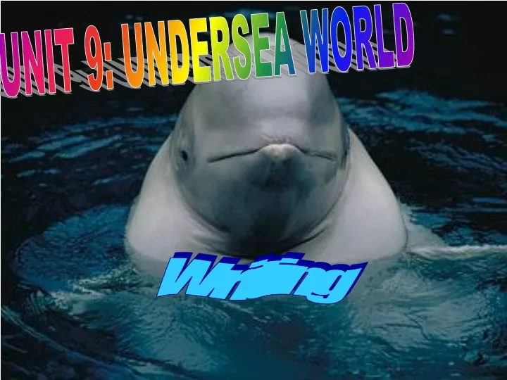unit 9 undersea world