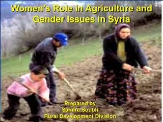 Women’s Role in Agriculture and Gender Issues in Syria
