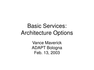 Basic Services: Architecture Options