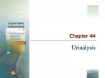 Urinalysis: Clinical Examinations & Testing Procedures - slide 1