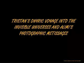 Tristan’s  onyric  voyage into the invisible universes and  Alimi’s  photographic  metissages