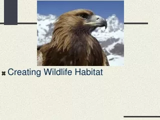 Creating Wildlife Habitat
