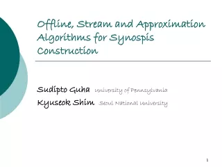 Offline, Stream and Approximation Algorithms for Synospis Construction