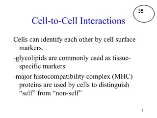 Cell-to-Cell Interactions
