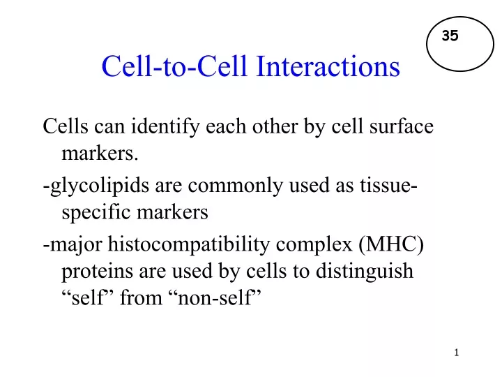 cell to cell interactions