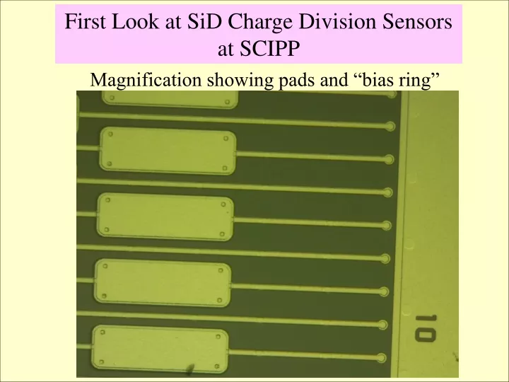 first look at sid charge division sensors at scipp
