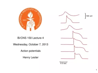 Bi/CNS 150 Lecture 4 Wednesday, October 7, 2013 Action potentials Henry Lester