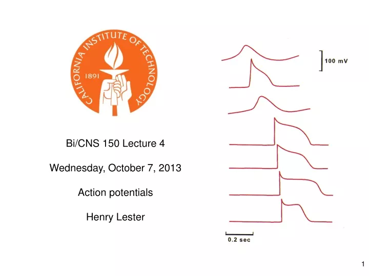bi cns 150 lecture 4 wednesday october 7 2013