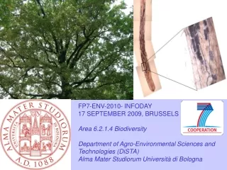 FP7-ENV-2010- INFODAY 17 SEPTEMBER 2009, BRUSSELS Area 6.2.1.4 Biodiversity