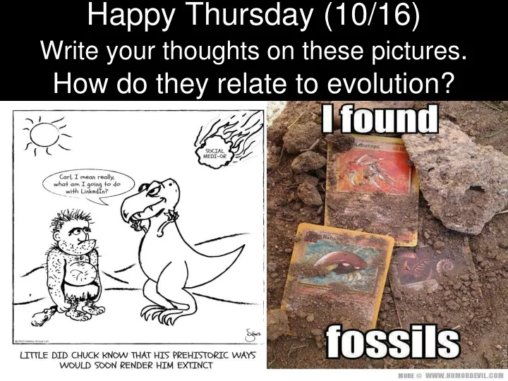 happy thursday 10 16 write your thoughts on these pictures how do they relate to evolution