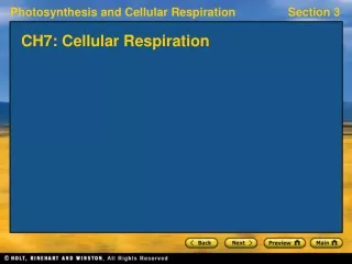 CH7: Cellular Respiration