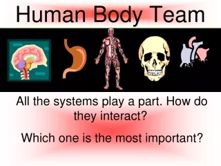 Human Body Team