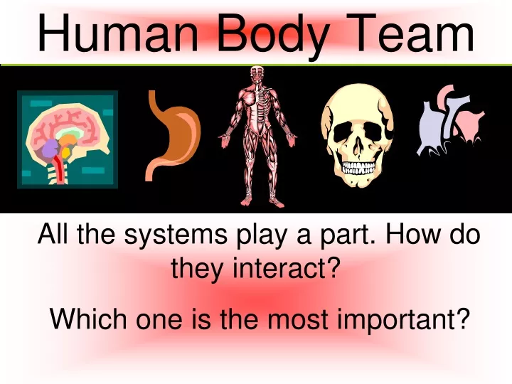 human body team