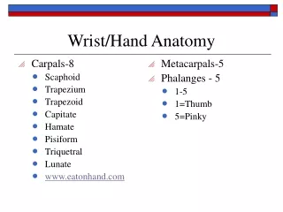 Wrist/Hand Anatomy